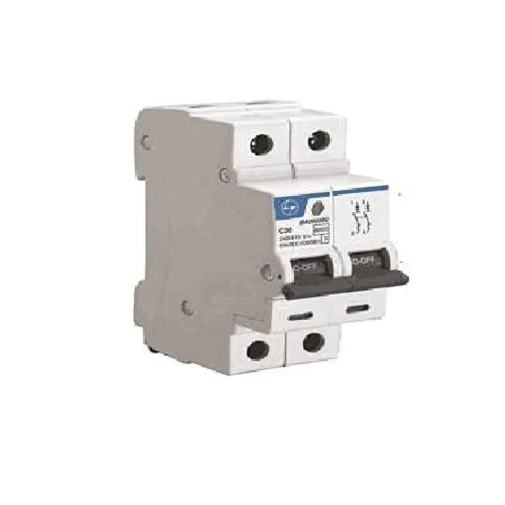 L&T 63 AMP Double Pole MCB